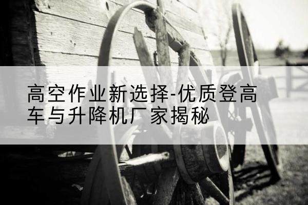 紫阳登高车厂家-高空作业新选择-优质登高车与升降机厂家揭秘