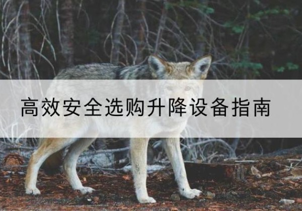 紫阳升降货梯厂家推荐-*安全选购升降设备指南