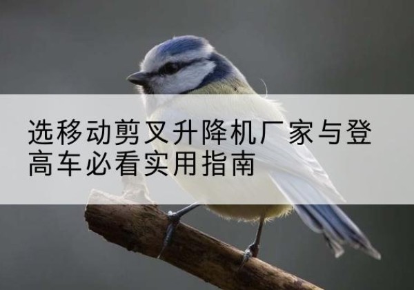 紫阳电动升降机厂家-选移动剪叉升降机厂家与登高车必看实用指南