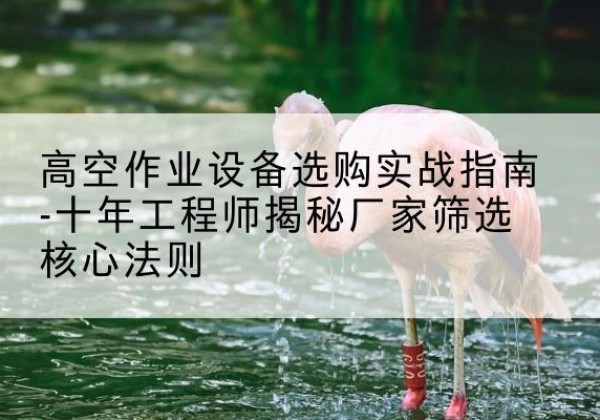 紫阳剪叉式升降机厂家-高空作业设备选购实战指南-十年工程师揭秘厂家筛选核心法则