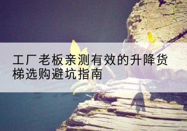 紫阳升降货梯怎么选-工厂老板亲测有效的升降货梯选购避坑指南